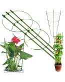 Кръгла подпора за растения и цветен пръстен